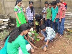 environment day 2018